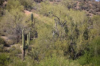 Saguaro Lake, April 19, 2012